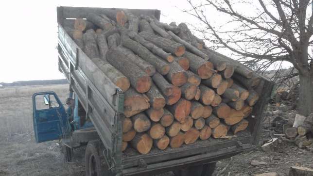 купить дрова полтава